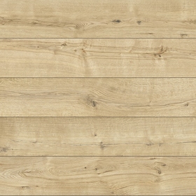 54041 Дуб Кабрило Рустик