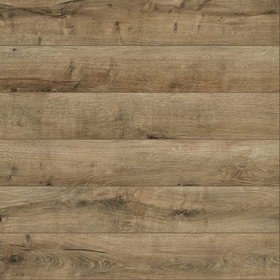 52605 Дуб Ванда