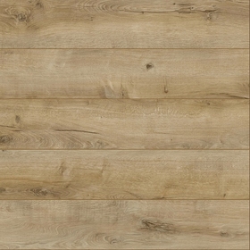 52607 Дуб Байкал